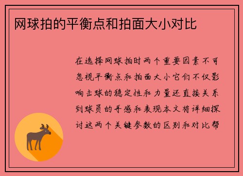 网球拍的平衡点和拍面大小对比